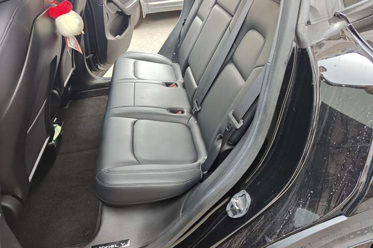 Used Tesla Model Y 2022 Rear-Wheel-Drive Version Left Rear Seat