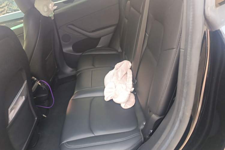 Used Tesla Model Y 2022 Rear-Wheel-Drive Version Left Rear Seat