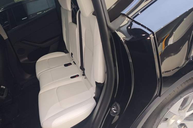 Used Tesla Model Y 2022 Revised Version Rear-Wheel Drive Left Rear Seat