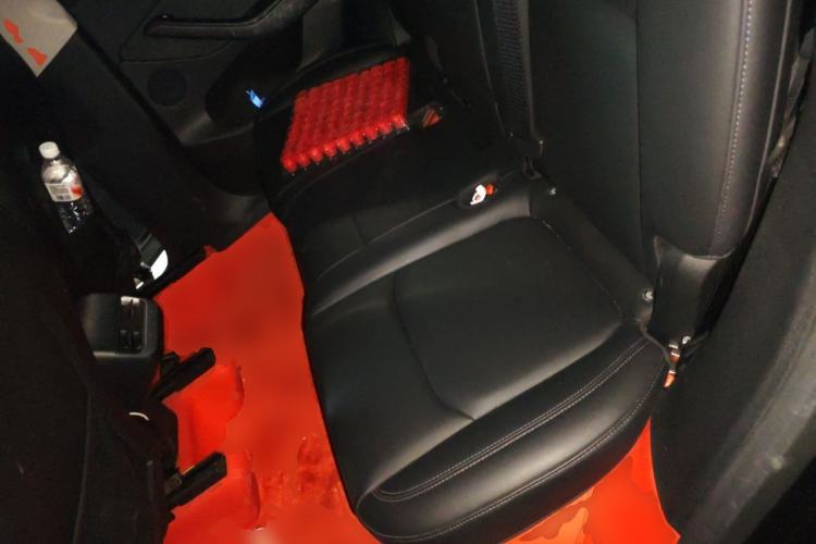 Used Tesla Model Y 2022 Revised Version Rear-Wheel Drive Left Rear Seat