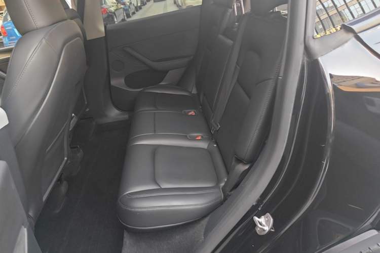 Used Tesla Model Y 2022 Rear-Wheel-Drive Version Left Rear Seat