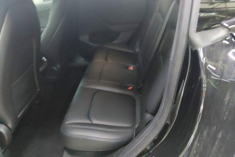 Used Tesla Model Y 2022 Rear-Wheel-Drive Version Left Rear Seat