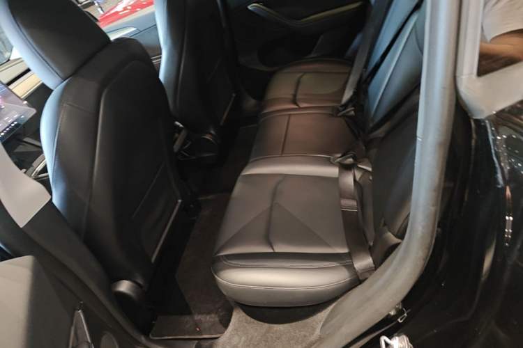 Used Tesla Model Y 2022 Revised Version Rear-Wheel Drive Left Rear Seat
