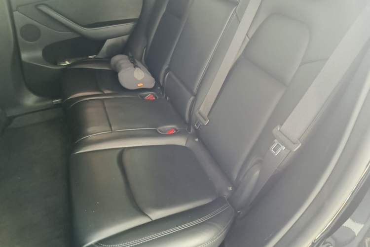 Used Tesla Model Y 2022 Revised Version Rear-Wheel Drive Left Rear Seat