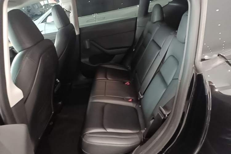 Used Tesla Model Y 2022 Performance High-Performance All-Wheel-Drive Version Left Rear Seat