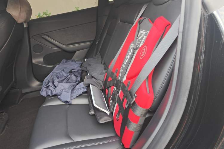 Used Tesla Model Y 2022 Revised Version Rear-Wheel Drive Left Rear Seat