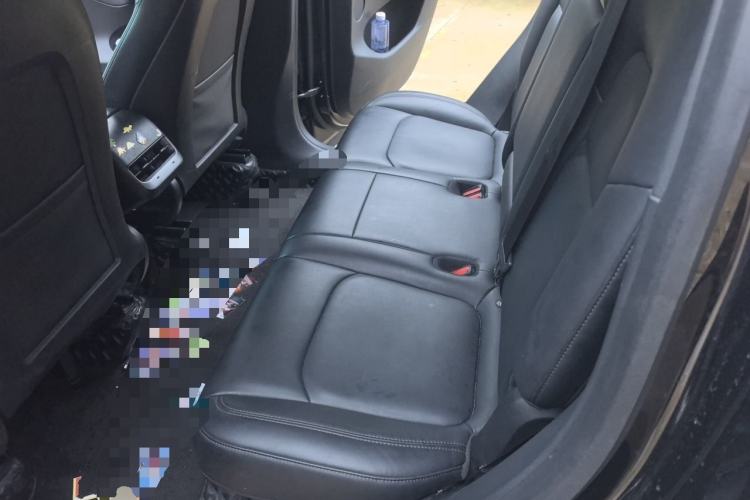 Used Tesla Model Y 2022 Rear-Wheel-Drive Version Left Rear Seat