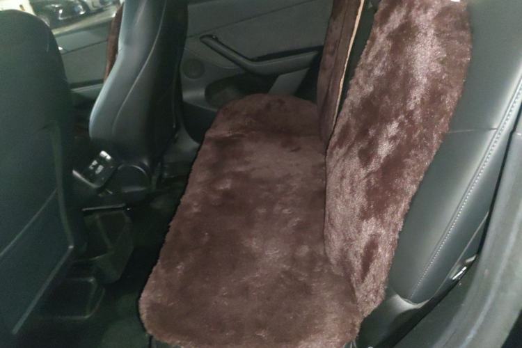 Used Tesla Model Y 2022 Rear-Wheel-Drive Version Left Rear Seat