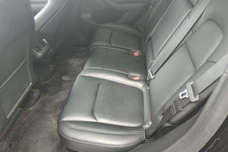 Used Tesla Model Y 2022 Revised Version Rear-Wheel Drive Left Rear Seat