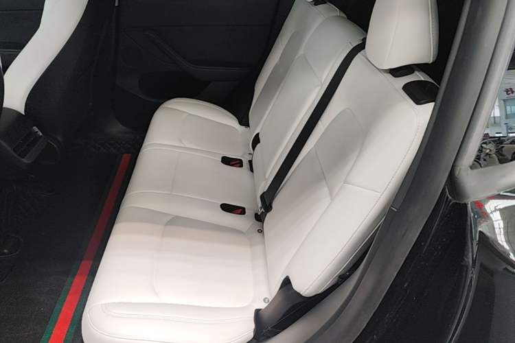 Used Tesla Model Y 2022 Rear-Wheel-Drive Version Left Rear Seat