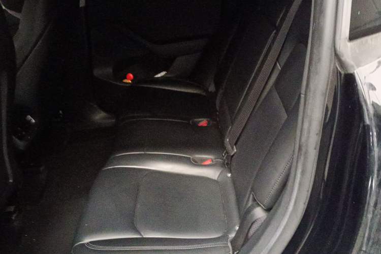 Used Tesla Model Y 2022 Revised Version Rear-Wheel Drive Left Rear Seat