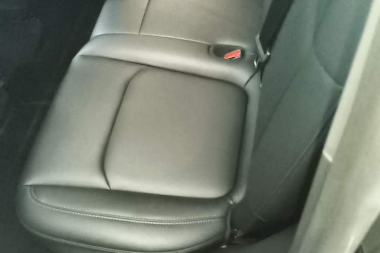Used Tesla Model Y 2022 Performance High-Performance All-Wheel-Drive Version Left Rear Seat
