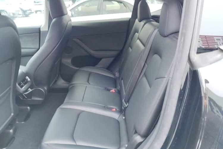 Used Tesla Model Y 2022 Revised Version Rear-Wheel Drive Left Rear Seat
