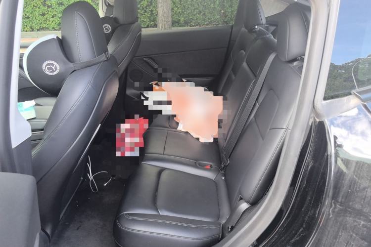 Used Tesla Model Y 2022 Long-Range All-Wheel-Drive Version Left Rear Seat