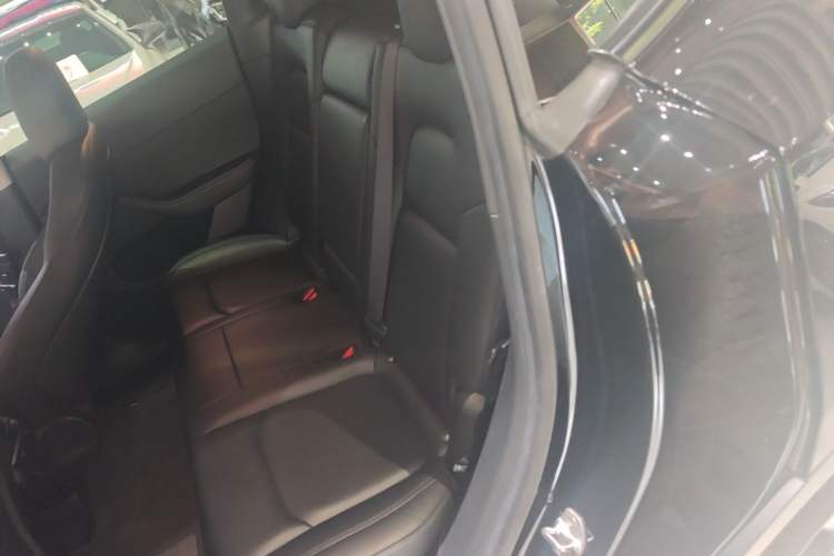 Used Tesla Model Y 2022 Rear-Wheel-Drive Version Left Rear Seat