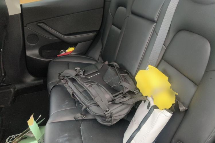 Used Tesla Model Y 2022 Revised Version Rear-Wheel Drive Left Rear Seat