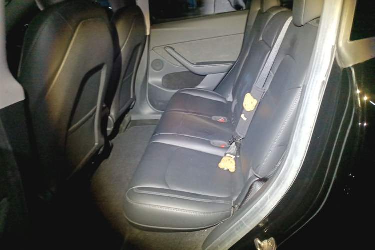 Used Tesla Model Y 2022 Rear-Wheel-Drive Version Left Rear Seat