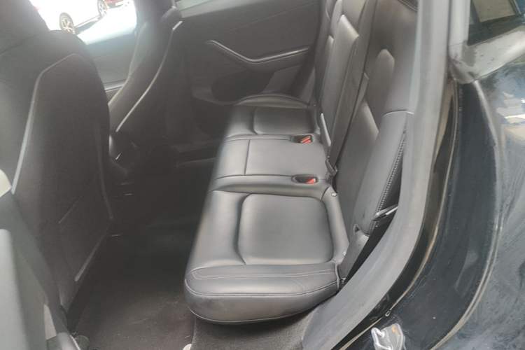 Used Tesla Model Y 2022 Rear-Wheel-Drive Version Left Rear Seat
