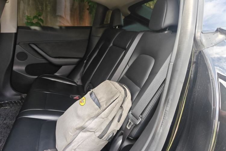 Used Tesla Model Y 2022 Rear-Wheel-Drive Version Left Rear Seat