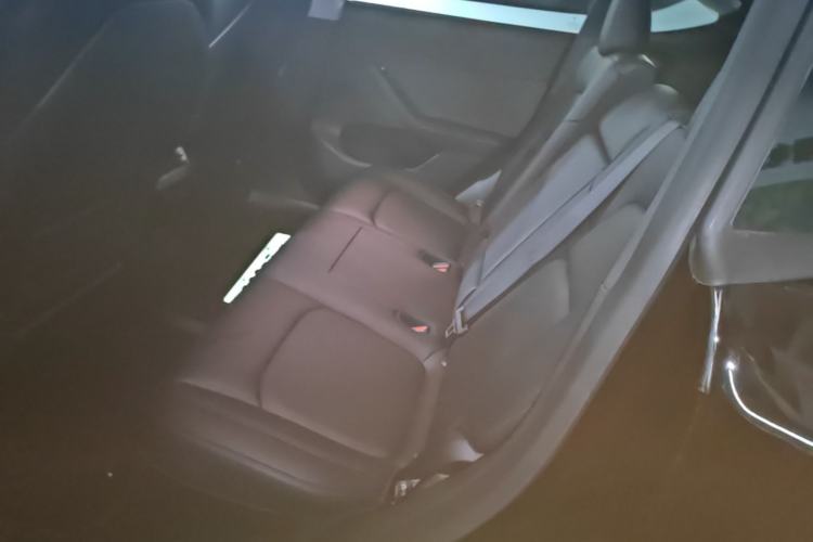 Used Tesla Model Y 2022 Long-Range All-Wheel-Drive Version Left Rear Seat