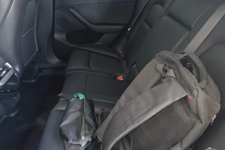 Used Tesla Model Y 2022 Revised Version Rear-Wheel Drive Left Rear Seat