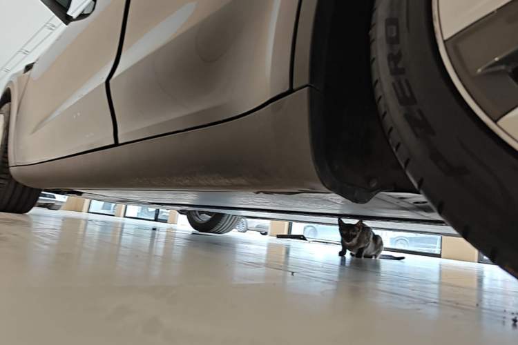 Used Tesla Model Y 2022 Revised Version Rear-Wheel Drive Left Side Sill