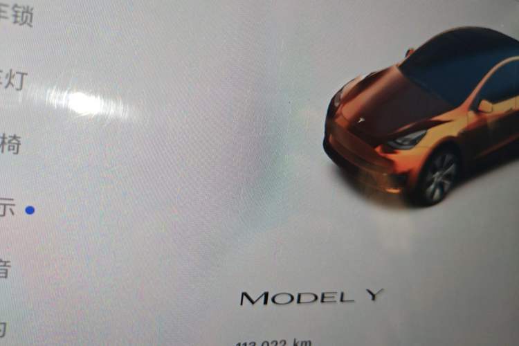 Used Tesla Model Y 2022 Rear-Wheel-Drive Version Odometer Close Up