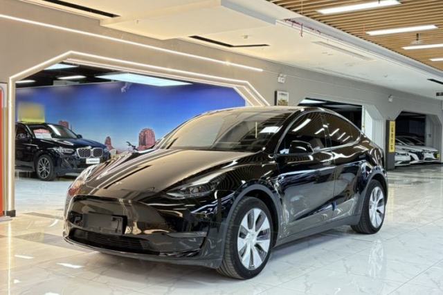 Tesla Model Y 2022 Revised Version Long-Range All-Wheel Drive usado