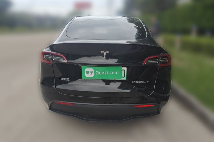 Used Tesla Model Y 2022 Rear-Wheel-Drive Version Rear