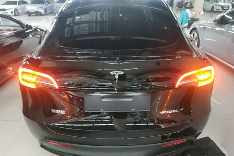 Used Tesla Model Y 2022 Revised Version Long-Range All-Wheel Drive Rear