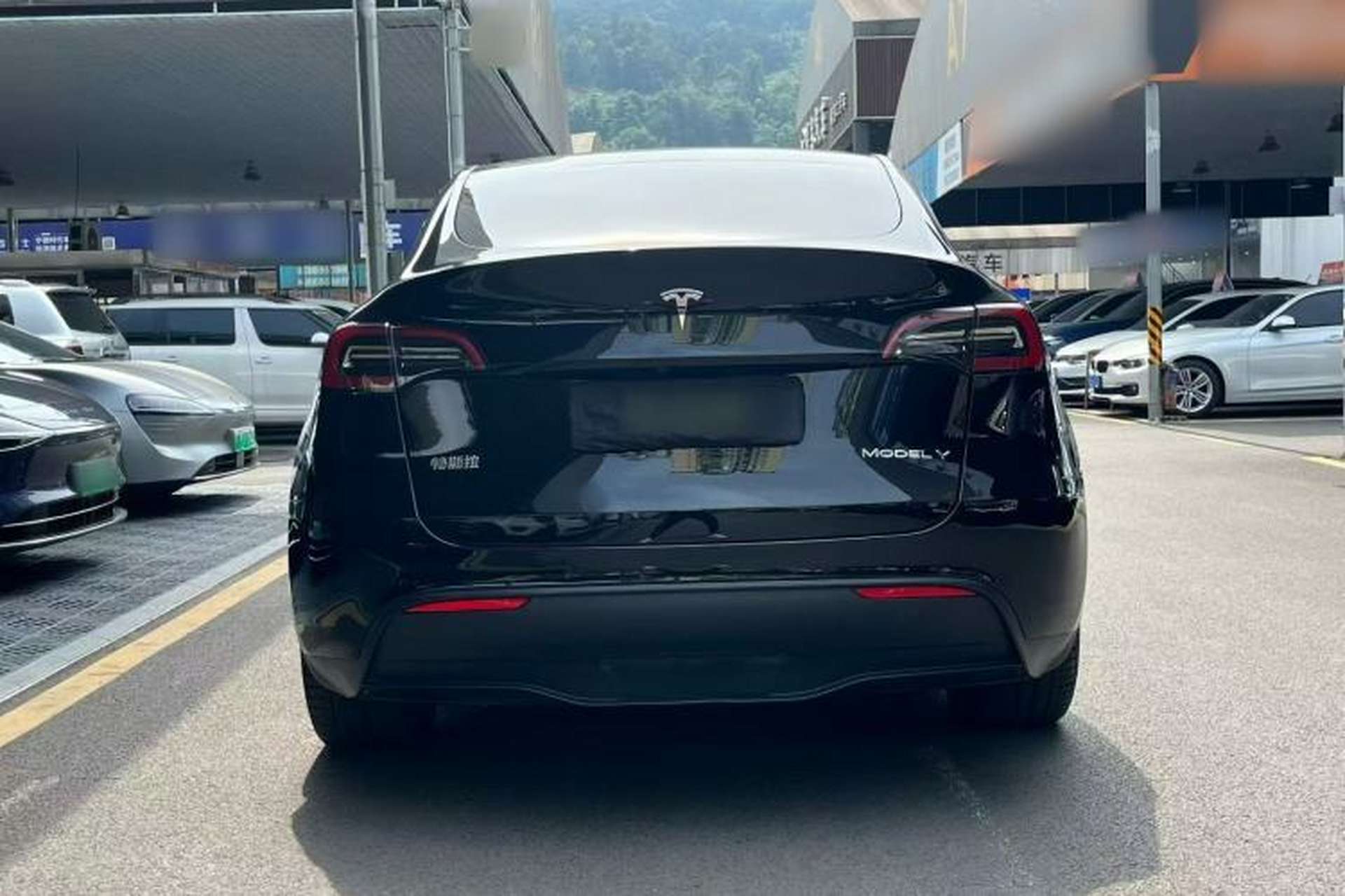 Used Tesla Model Y 2022 Rear-Wheel-Drive Version Rear