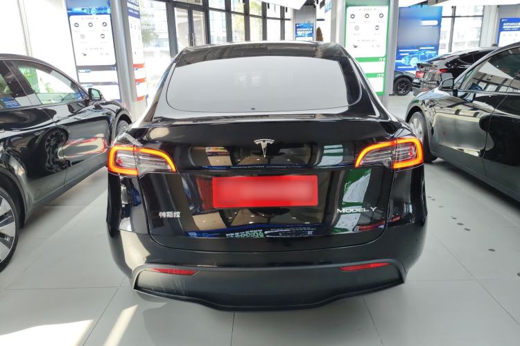 Used Tesla Model Y 2022 Rear-Wheel-Drive Version Rear