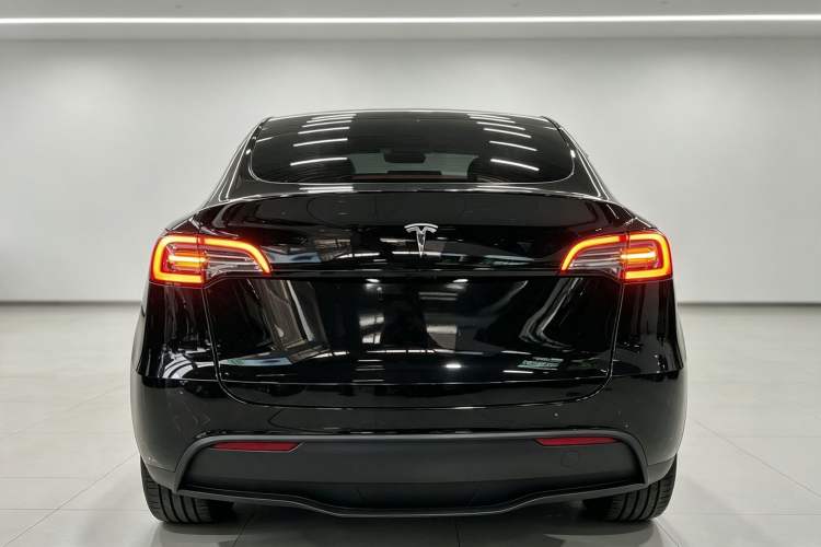 Used Tesla Model Y 2022 Revised Version Rear-Wheel Drive Rear
