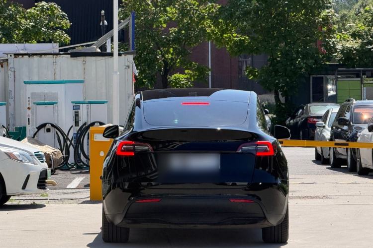 Used Tesla Model Y 2022 Rear-Wheel-Drive Version Rear