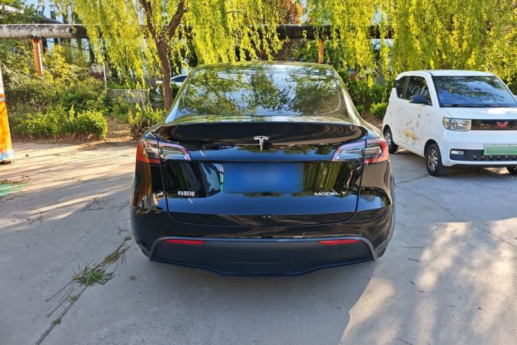 Used Tesla Model Y 2022 Rear-Wheel-Drive Version Rear