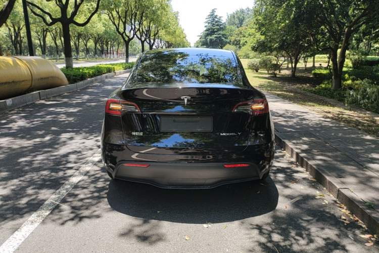 Used Tesla Model Y 2022 Rear-Wheel-Drive Version Rear