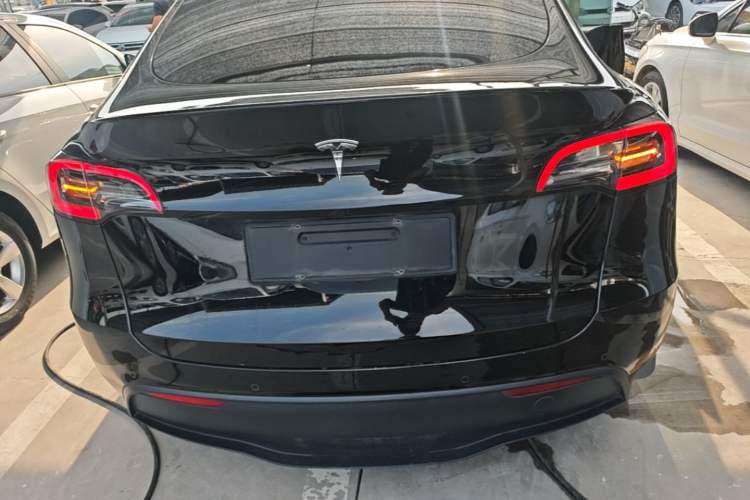 Used Tesla Model Y 2022 Rear-Wheel-Drive Version Rear