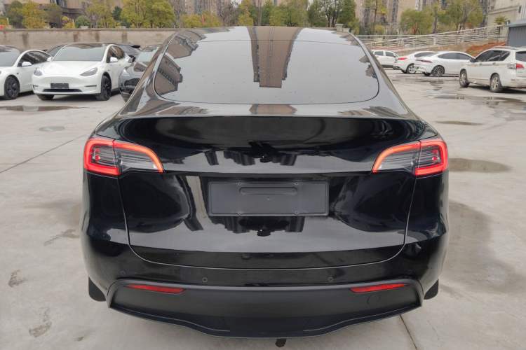 Used Tesla Model Y 2022 Revised Version Rear-Wheel Drive Rear