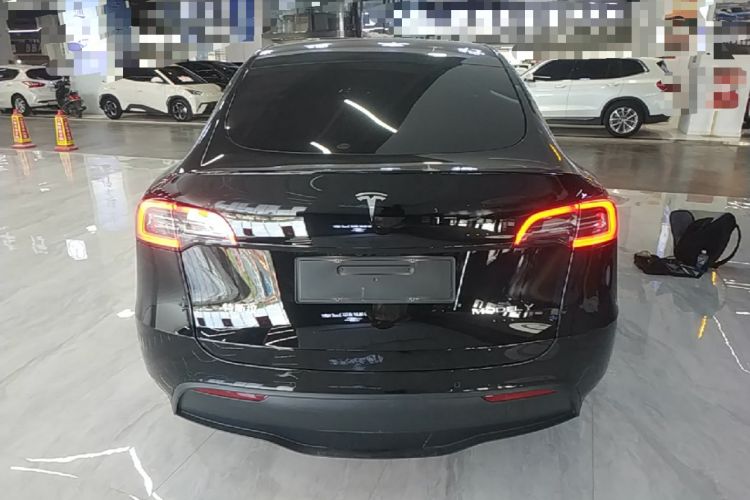 Used Tesla Model Y 2022 Revised Version Rear-Wheel Drive Rear