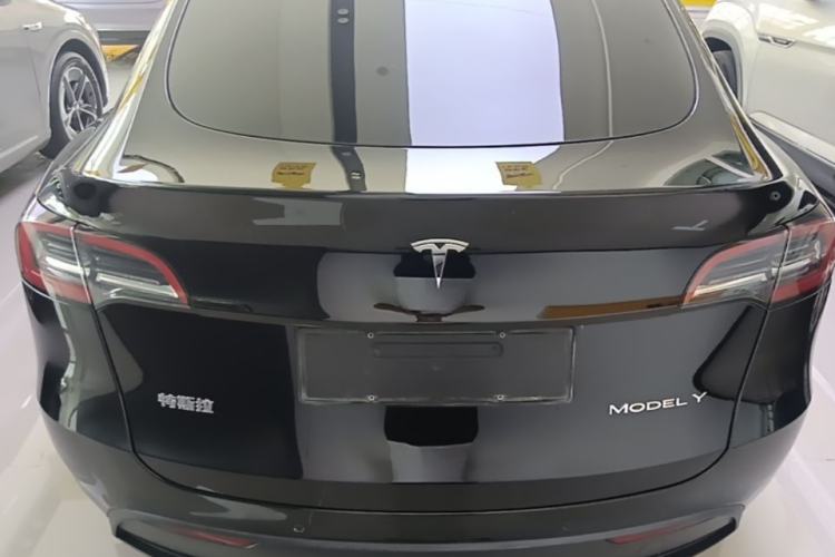 Used Tesla Model Y 2022 Rear-Wheel-Drive Version Rear