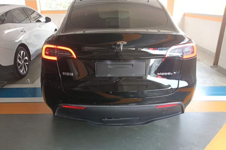 Used Tesla Model Y 2022 Rear-Wheel-Drive Version Rear