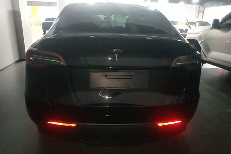 Used Tesla Model Y 2022 Rear-Wheel-Drive Version Rear