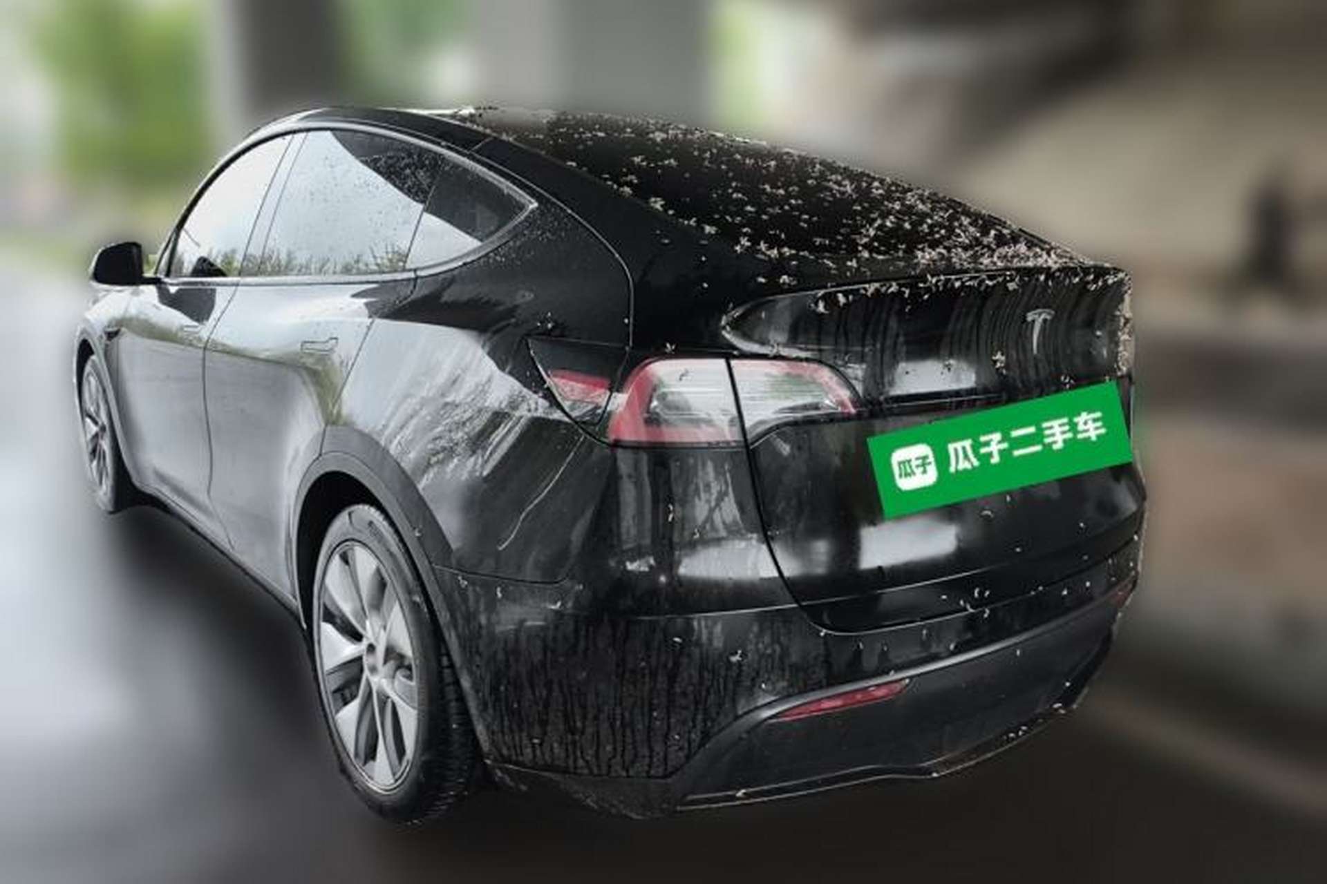 Used Tesla Model Y 2022 Rear-Wheel-Drive Version Rear Left 45 Deg