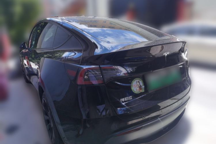 Used Tesla Model Y 2022 Long-Range All-Wheel-Drive Version Rear Left 45 Deg