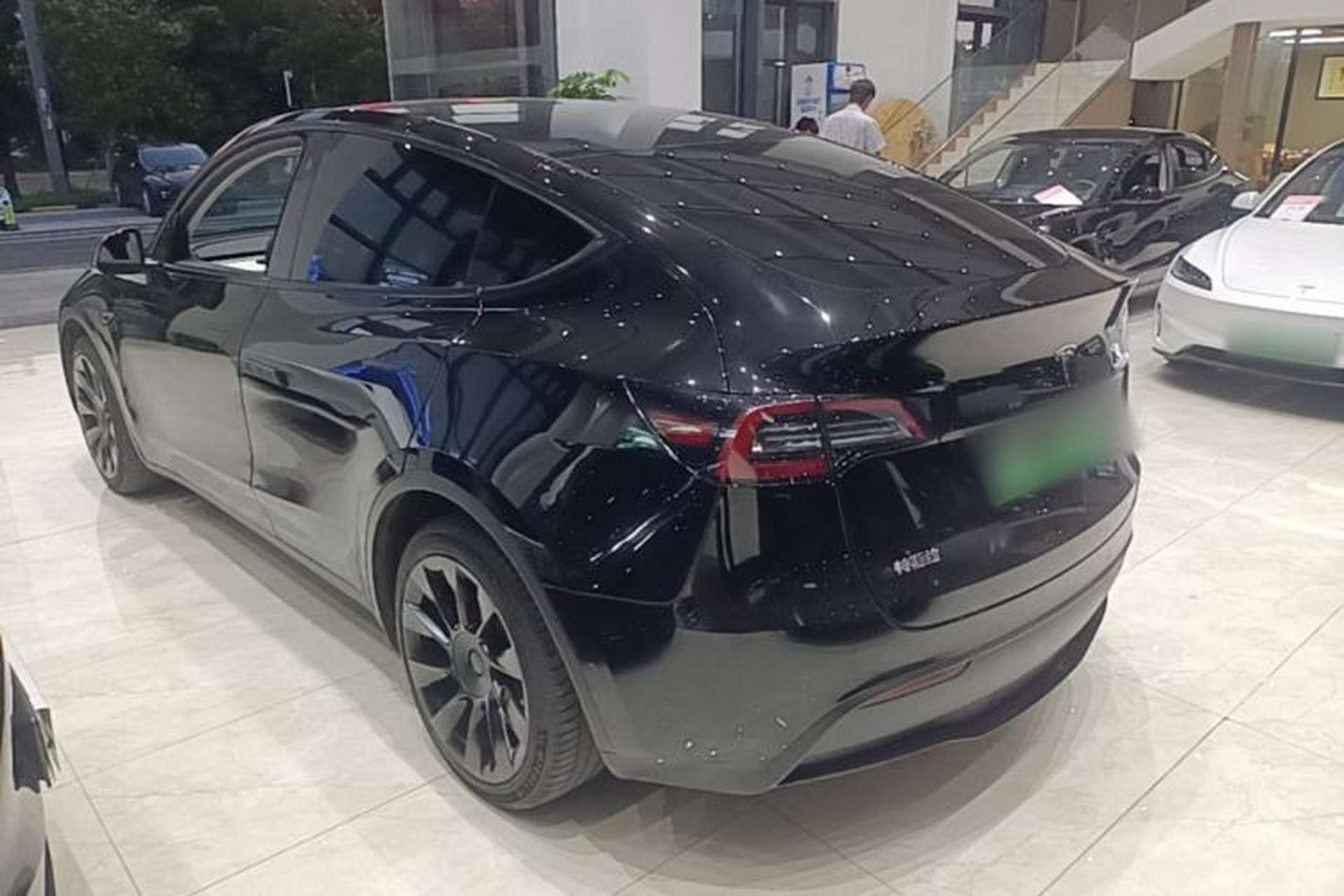 Used Tesla Model Y 2022 Long-Range All-Wheel-Drive Version Rear Left 45 Deg