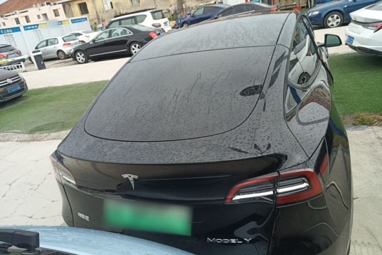 Used Tesla Model Y 2022 Rear-Wheel-Drive Version Rear