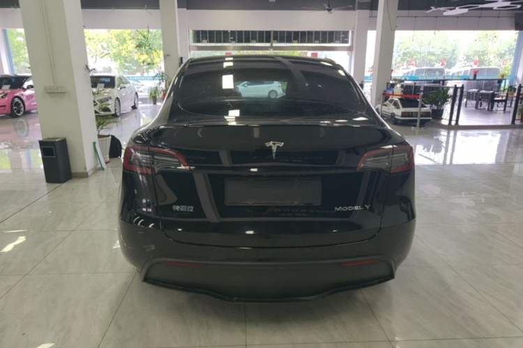 Used Tesla Model Y 2022 Revised Version Long-Range All-Wheel Drive Rear