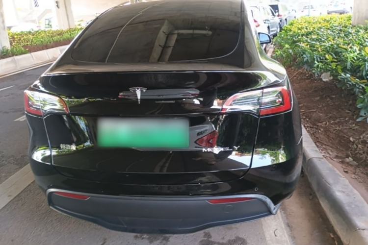 Used Tesla Model Y 2022 Rear-Wheel-Drive Version Rear