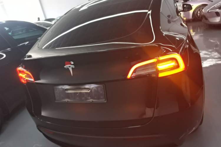 Used Tesla Model Y 2022 Rear-Wheel-Drive Version Rear