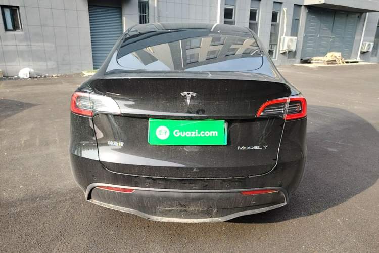 Used Tesla Model Y 2022 Revised Version Rear-Wheel Drive Rear